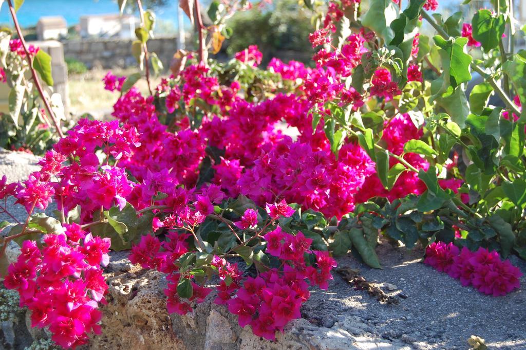 Meropi Villas Kardamyli Dış mekan fotoğraf