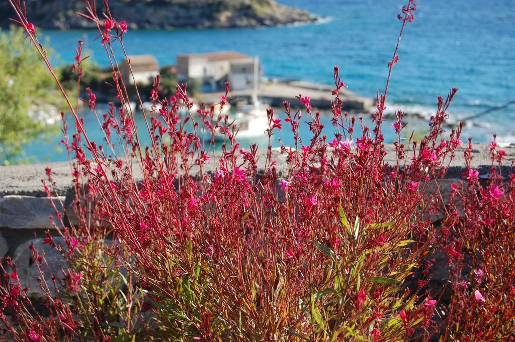 Meropi Villas Kardamyli Dış mekan fotoğraf
